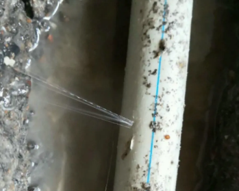 鄂城卫生间测漏水多少钱